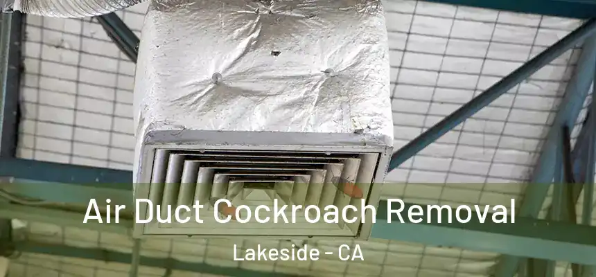  Air Duct Cockroach Removal Lakeside - CA