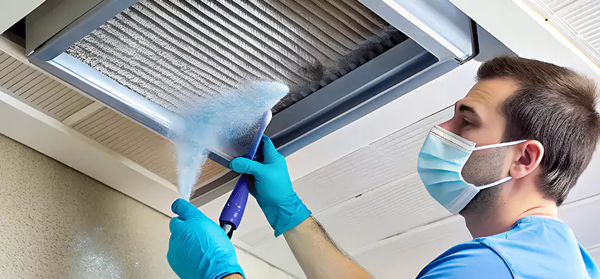 Proactive Dryer Vent & Auxiliary Duct Pollen Cleanup in Lakeside, CA