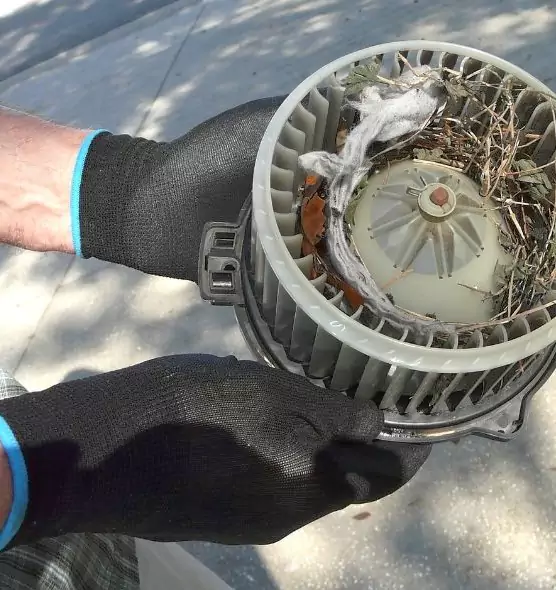 About Air Duct Mice Removal in Lakeside, CA