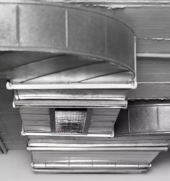 Professional Air Duct Pet Hair Removal in Lakeside, CA