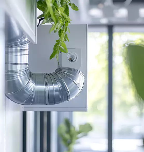 Professional Eco-Safe Dryer Vent Cleaning in Lakeside, CA