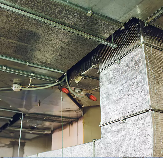 Why Homeowners & Businesses Trust Us Lakeside, CA?