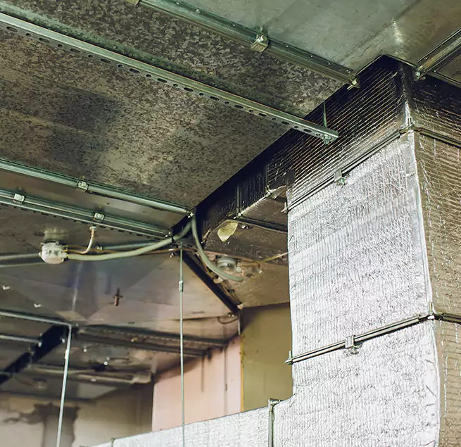 Why Homeowners & Businesses Trust Us in Lakeside, CA?